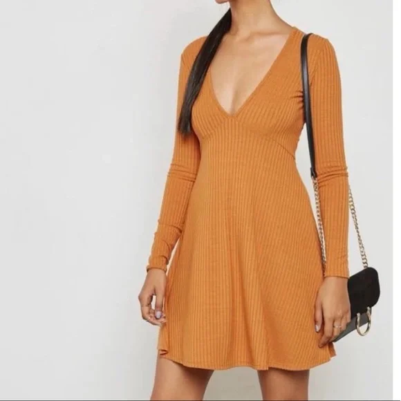 Forever 21 Burnt Orange Deep V Long sleeve skater dress